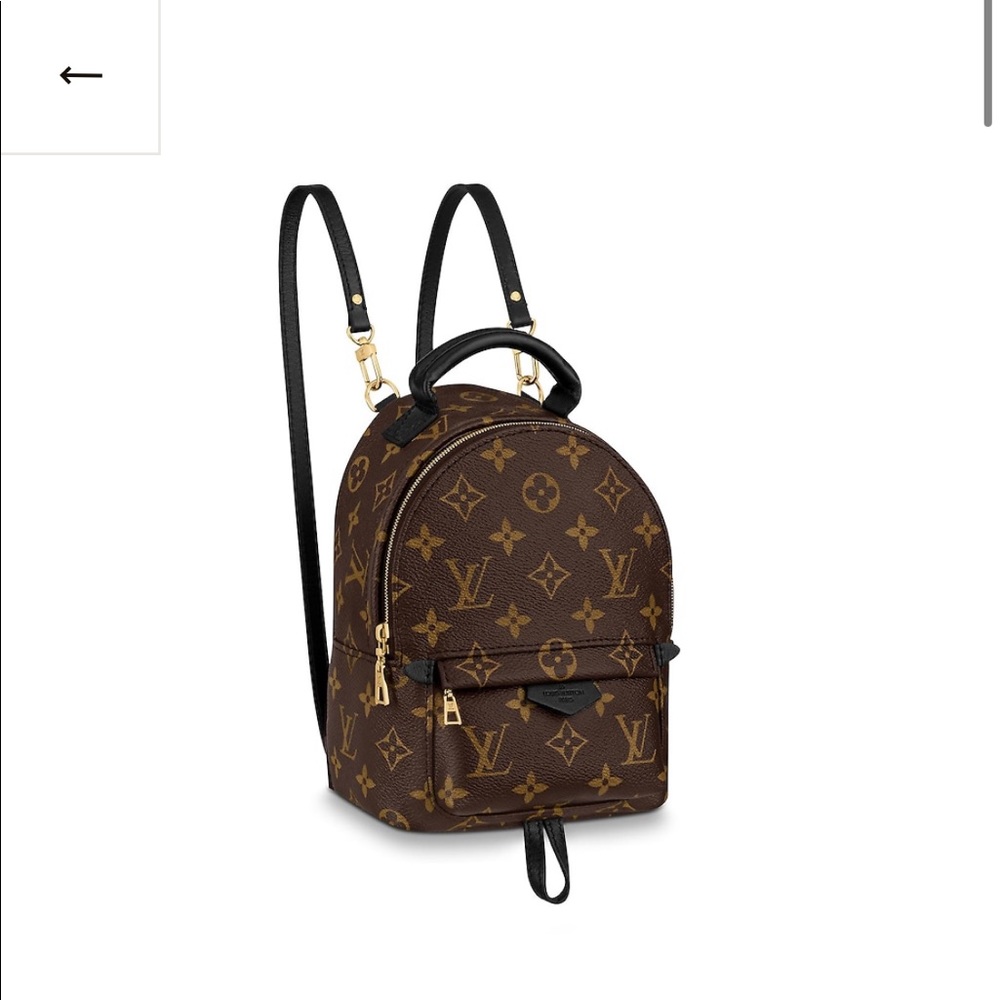 Louis Vuitton Palm Springs Mini